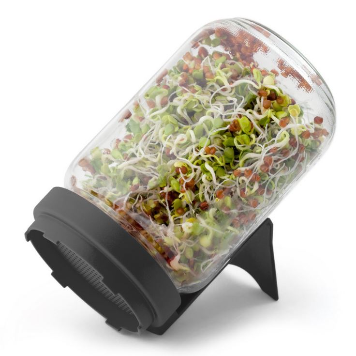 SPROSSENGLAS mit Siebdeckel